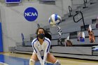 Women’s VB intersquad  Women’s Volleyball inter-squad match. : Women’s Volleyball, VB, inter squad, intersquad